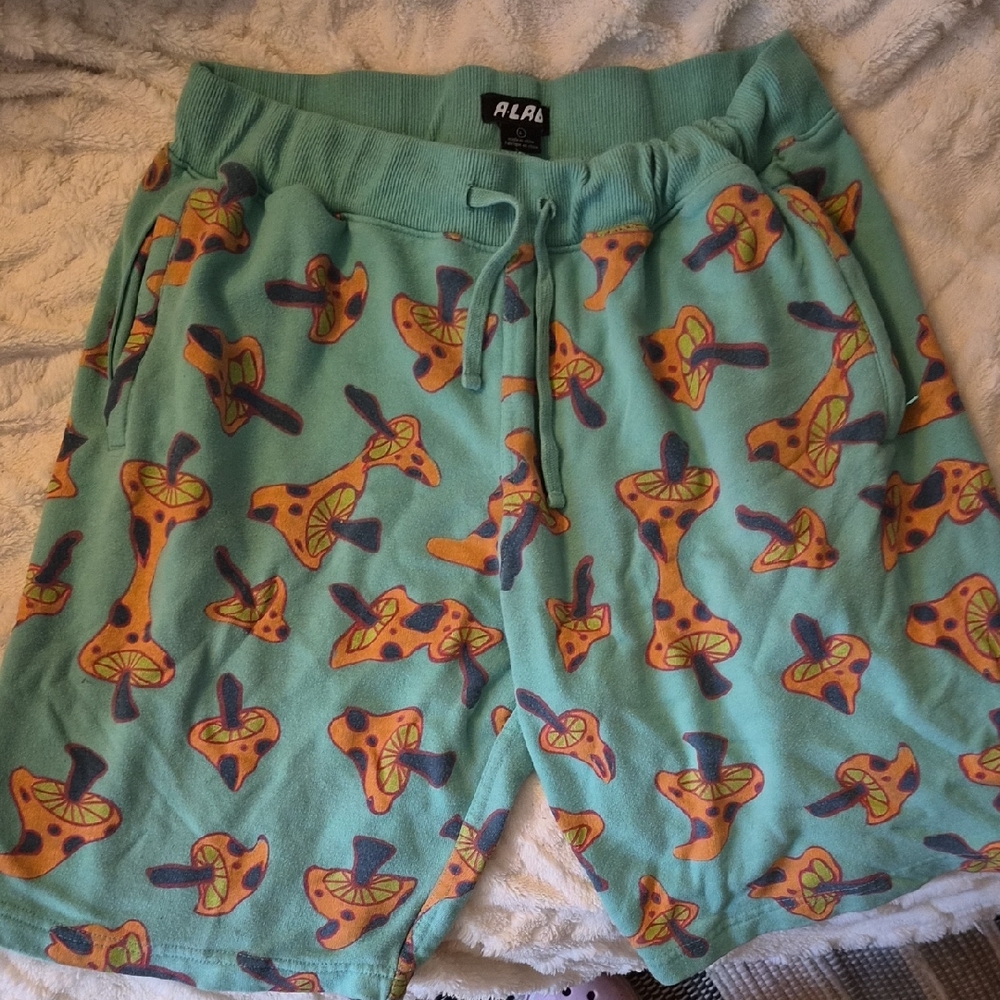 aLab Men's Teal Shorts with Orange and Purple Design